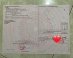 ĐẦU TƯ LÀ SINH LỜI - ĐẤT CHÍNH CHỦ Tại Phường Tam Phước, TP Biên Hòa, Tỉnh Đồng Nai