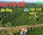 HOT HOT – CHÍNH CHỦ CẦN BÁN 9 LÔ ĐẤT VIEW ĐỒI TẠI Thôn Đông La 2, xã Lộc Đức, Bảo Lâm,