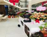 CHÍNH CHỦ CẦN SANG NHƯỢNG GẤP SPA ĐANG HOẠT ĐỘNG TỐT – GÒ VẤP, TP.HCM