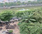 Bán căn hộ Bình Thạnh, giáp Quận 1, gần Phan Xích Long, 54m2, giá nhỉnh 3 tỷ.