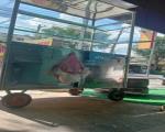 CÓ VIỆC RIÊNG CẦN SANG QUÁN CƠM TẤM – BÁNH MÌ GẦN CHỢ KHÁNH BÌNH, TÂN UYÊN - TỈNH BÌNH