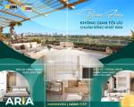 BCONS ARIA – ĐỪNG ĐỂ “SAU NÀY” TRỞ THÀNH “GIÁ NHƯ”… 🏠