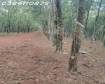 320HA NGUỒN THU MẠNH TÌM NHÀ ĐẦU TƯ320HA NGUỒN THU MẠNH TÌM NHÀ ĐẦU TƯ
thực tế bên ngoài