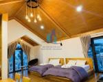 🏡 BÁN BIỆT THỰ ĐƯỜNG CÙ CHÍNH LAN, PHƯỜNG LÂM VIÊN – ĐÀ LẠT 💥 Giảm còn 13.5 tỷ