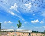 D146 chuyển nhượng quyền sử dụng đất KCN, DT 30,000m2 thu hút linh hoạt ngành nghề