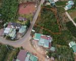 ĐẤT ĐẸP – GIÁ TỐT - CẦN BÁN GẤP LÔ ĐẤT MẶT TIỀN Đường Lý Thái Tổ, Phường 2, TP. Bảo Lộc,