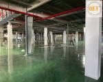 Bán nhà xưởng sản xuất – KCN DĨ AN, BÌNH DƯƠNG – 6.500m²