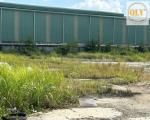 Cho thuê mặt bằng – đất trống 8.500m² mặt tiền ĐT741, Bến Cát, Bình Dương
