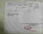 CHÍNH CHỦ BÁN ĐẤT CÂY LÂU NĂM – TRẢNG BÀNG, TÂY NINH