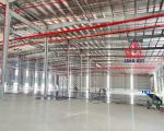 XT232 cho thuê xưởng kiên cố thích hợp DN FDI , EPE, ưu tiên ngành nghề công nghệ cao