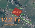 Bán lô đất lúa chuyển thổ mặt tiền tỉnh lộ 833 giá 12,2 tỷ