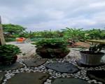 Bán Nhà riêng 1030m2 sẵn 1030m2 thổ cư giá 16,8 tỷ Đường Liên Ấp 3A - Xã Mỹ Yên Tây Ninh