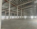 BÁN KHO XƯỞNG DIỆN TÍCH LỚN TẠI CHÂU CAN – PHÚ XUYÊN  8.100M²  GIÁ CHỈ 5X TỶ