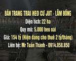 Trại Heo 22ha Lãi Ngay 2 Tỷ/Tháng