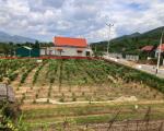 CHÍNH CHỦ CẦN BÁN ĐẤT FULL THỔ CƯ PHƯỜNG BÌNH KHÊ, ĐÔNG TRIỀU, QUẢNG NINH