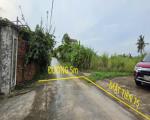 Thanh lý đất phường Hoành Bồ, Hạ Long, 1050m2, đường ô tô đỗ cửa, miễn TG