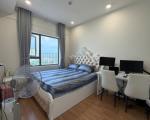 CHÍNH CHỦ CHO THUÊ CĂN HỘ DIAMOND LOTUS RIVERSIDE – 2PN ĐẦY ĐỦ NỘI THẤT- CHÁNH HƯNG -