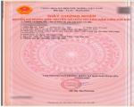 Bán đất trục chính Làng Bầu, Liên Bảo, Vĩnh Yên. DT 91.3m2
