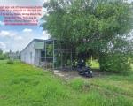 ĐẤT ĐẸP- GIÁ TỐT BÁN NHANH LÔ ĐẤT ĐẦU TƯ LÀ SINH LỜI CÓ SẴN NHÀ CẤP 4 TẠI huyện Đức Hòa